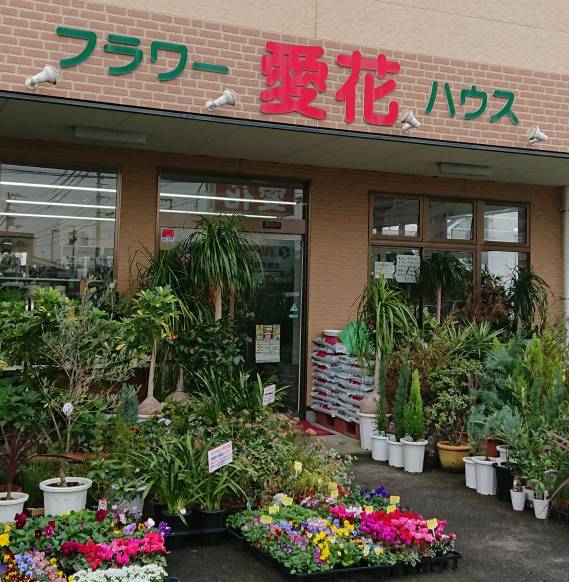 「愛花」　（愛媛県松山市）の花屋店舗写真1