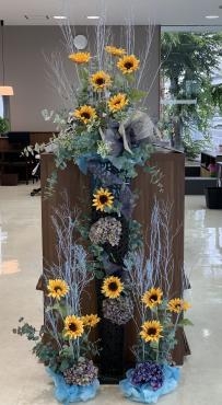 sunflower-display-flowerhouse-aika-20200701