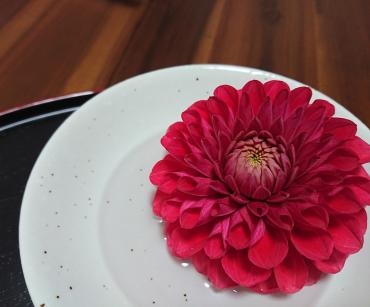 お花の飾りかた♪ ダリア♪｜「愛花」　（愛媛県松山市の花キューピット加盟店 花屋）のブログ