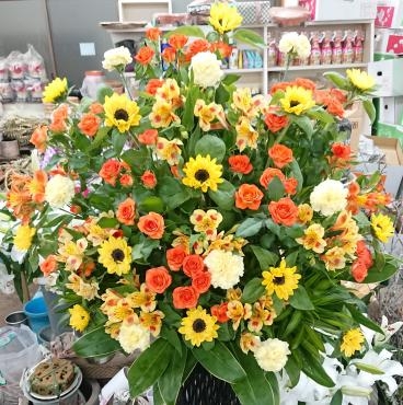 20220525_openoiwai-stand-yelloworange-flowerhouseaika