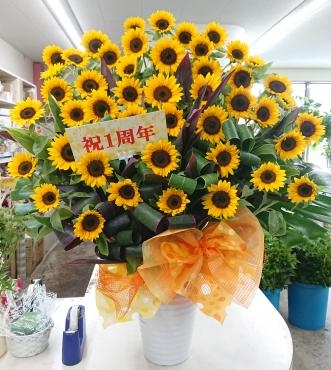 20220729_1shunen-oiwai_tsubo-arrangement_sunflower-flowerhouseaika