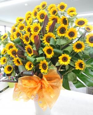 20220729_1shunen-oiwai_tsubo-arrangement_sunflower-flowerhouseaika2