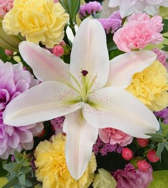 20220811_birthday-oiwai_arrangement_dahlia-flowerhouseaika2