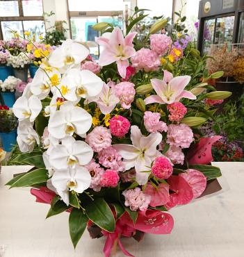 20220906_oiwai_arrangement-kochouran-flowerhouseaika