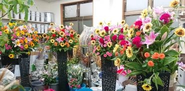 20221025_open-oiwai_stand-flowerhouseaika1