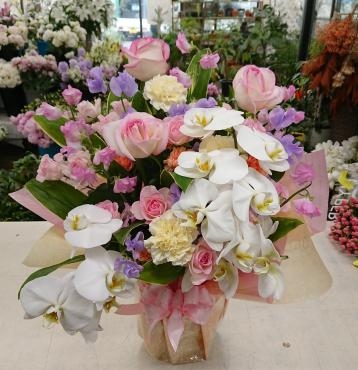 20230127_omimai_arrangement_kochouran-flowerhouseaika