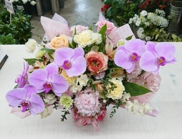 20230203_omimai_kochouran_arrangement-flowerhouseaika