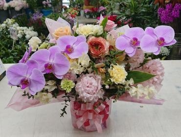 20230203_omimai_kochouran_arrangement-flowerhouseaika2