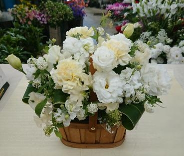 20230208_osonae_pet-lady-dog_white-cute-arrangement-flowerhouseaika