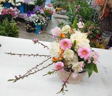 20230305_hinamatsuri-oiwai_bouquet-flowerhouseaika