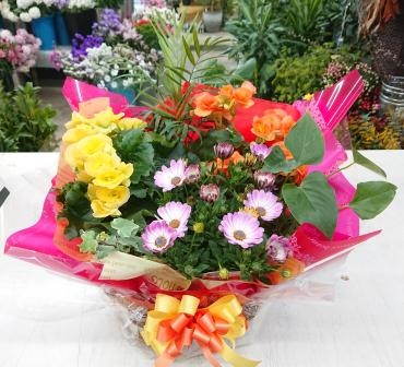 お誕生日祝い 寄せ鉢♪｜「愛花」　（愛媛県松山市の花キューピット加盟店 花屋）のブログ