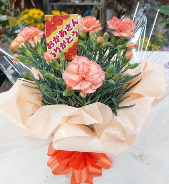 20230513_mothersday-dianthus-flowerhouseaika