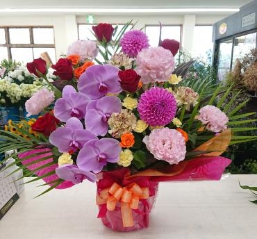 20230725_birthday-oiwai_arrangement-flowerhouseaika
