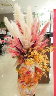 秋のディスプレイ♪｜「愛花」　（愛媛県松山市の花キューピット加盟店 花屋）のブログ