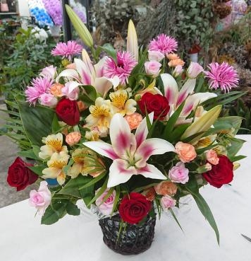 お祝い アレンジメント♪「愛花」（愛媛県松山市の花屋）のギャラリー写真