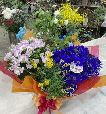 お祝い 寄せ鉢 アラカルト♪｜「愛花」　（愛媛県松山市の花キューピット加盟店 花屋）のブログ